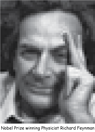 feynman pixelated