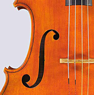 violin f-hole photo