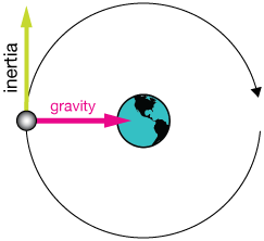 gravity and inertia in orbits